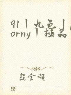 91丨九色丨porny丨极品