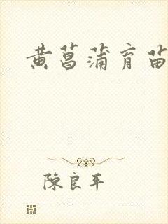 黄菖蒲育苗