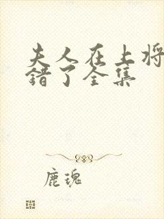 夫人在上将军知错了全集