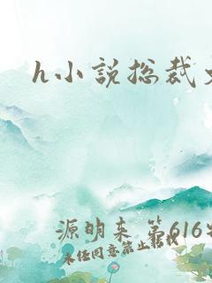 h小说总裁文