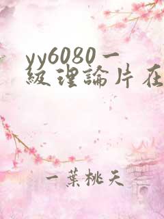 yy6080一级理论片在线观看