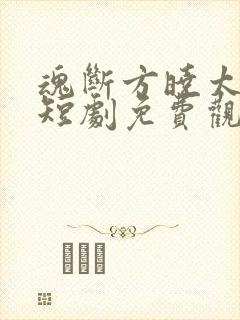 魂断方晓太子念短剧免费观看