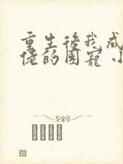 重生后我成了大佬的团宠 小说