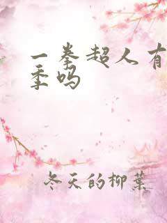一拳超人有第3季吗