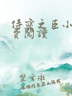 侍寝之臣小说免费阅读