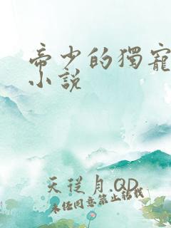 帝少的独宠娇妻小说