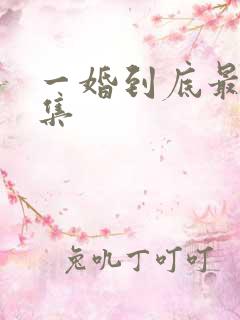 一婚到底最后一集