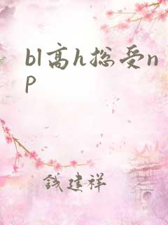 bl高h总受np