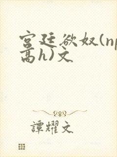 宫廷欲奴(np高h)文