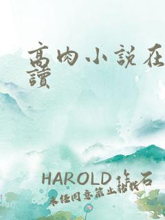 高肉小说在线阅读