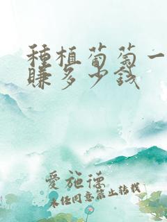 种植葡萄一亩地赚多少钱