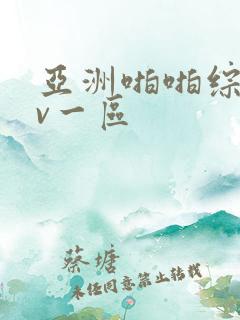 亚洲啪啪综合av一区