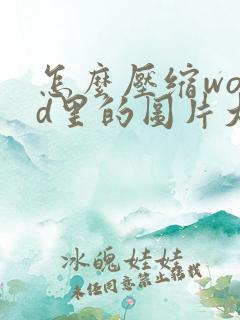 怎么压缩word里的图片大小