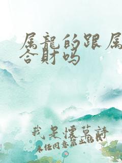 属龙的跟属羊的合财吗