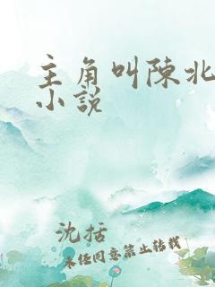 主角叫陈北玄的小说