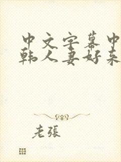 中文字幕中出日韩人妻好来摸