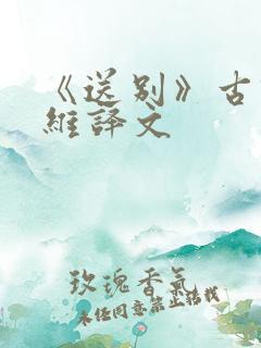 《送别》古诗王维译文