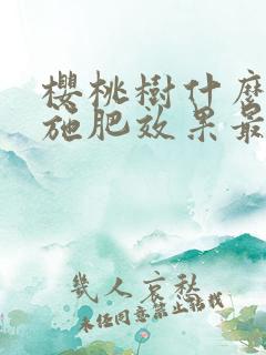 樱桃树什么时候施肥效果最好