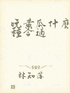 晚黄瓜什么时候种合适