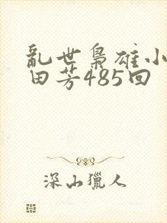 乱世枭雄小说单田芳485回 乱世枭雄小说单田芳485回