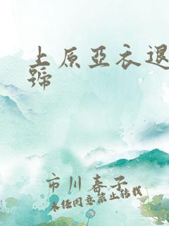 上原亚衣退役番号