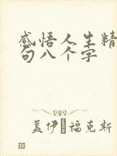感悟人生精辟短句八个字