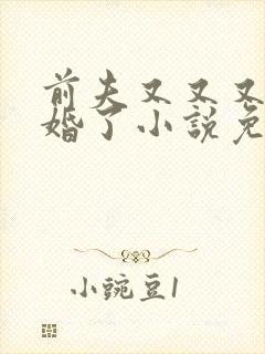 前夫又又又想复婚了小说免费阅读