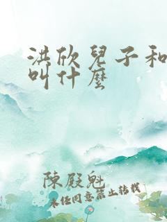 洪欣儿子和女儿叫什么