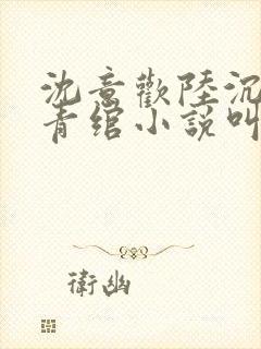 沈意欢陆沉舟林青绾小说叫什么名字