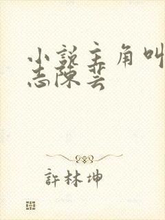 小说主角叫赵乾志陈芸