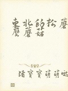 东北的松蘑是什么蘑菇