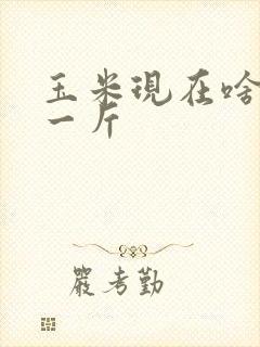 玉米现在啥价钱一斤