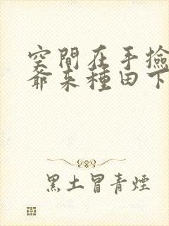 空间在手捡个王爷来种田下载txt