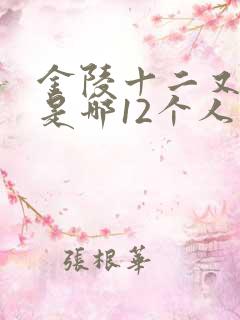 金陵十二又副钗是哪12个人