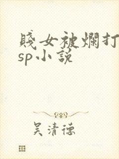 贱女被烂打屁股sp小说