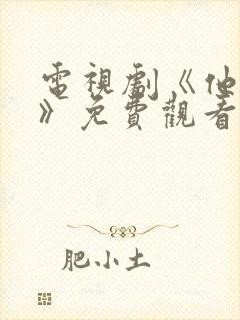 电视剧《他是谁》免费观看全集