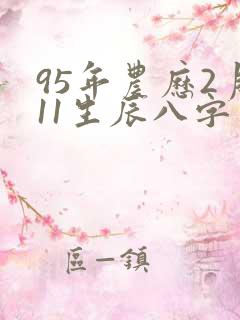 95年农历2月11生辰八字
