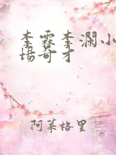 李霖李澜小说官场奇才