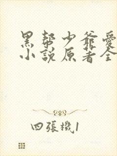 黑帮少爷爱上我小说原著全文