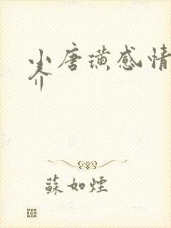 小唐璜感情史简介