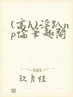 (高h)淫趴np伦笔趣阁