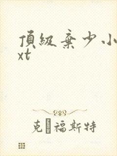 顶级弃少小说txt