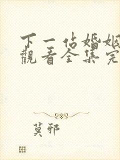 下一站婚姻免费观看全集完整版