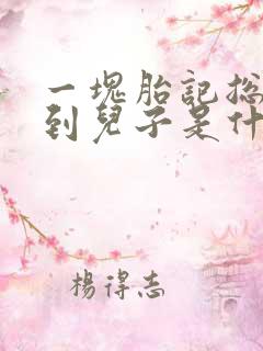 一块胎记总裁找到儿子是什么电视剧