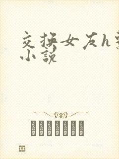 交换女友h系列小说