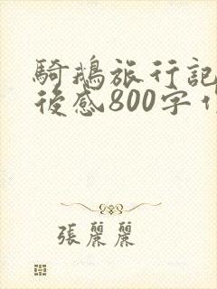 骑鹅旅行记的读后感800字作文