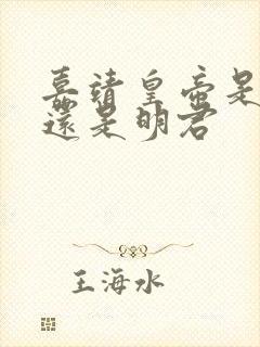 嘉靖皇帝是昏君还是明君