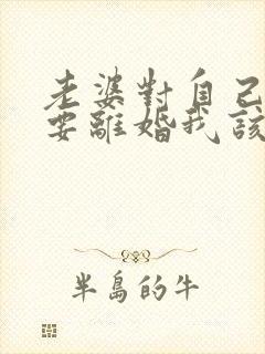 老婆对自己死心要离婚我该怎么挽回
