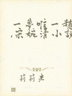一梦唯一赵振国,宋婉清小说