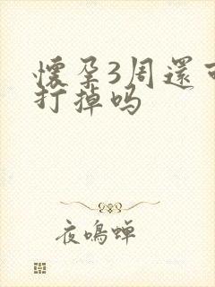 怀孕3周还可以打掉吗